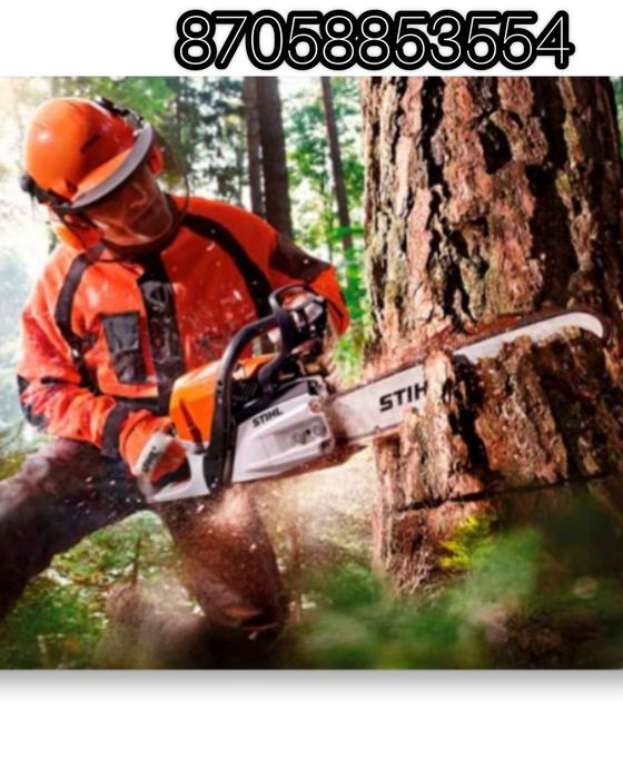 Покос травы, Обрезка деревьев и кустов, Стрижка газона