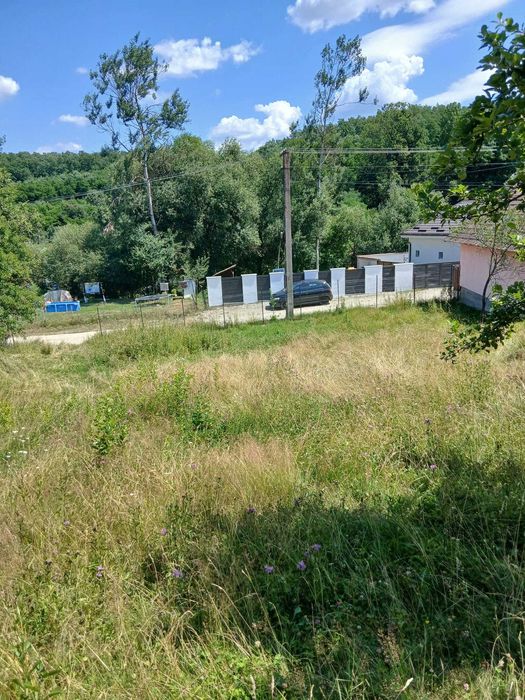 Teren intravilan