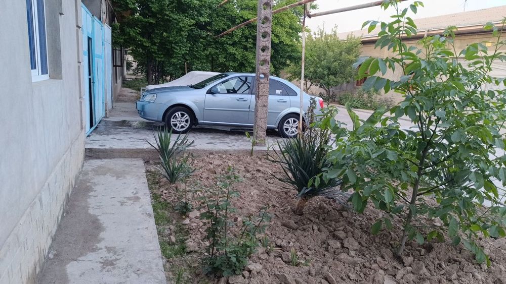 Laseti sotiladi 2013 kraska top toza