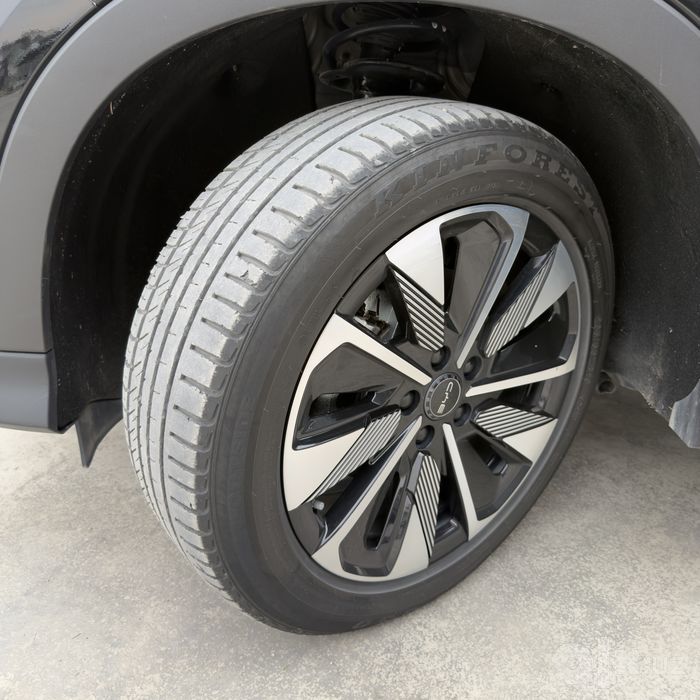 Byd champion restyling