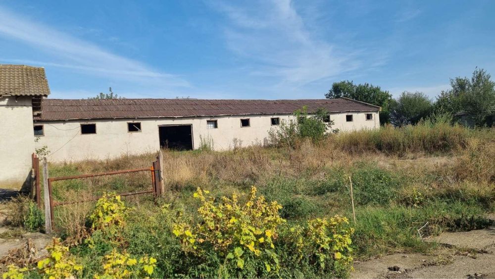 Дава се под наем Промишлена сграда в с. Йорданово, Област Силистра - 950 кв.м за 250 € - Снимка #3