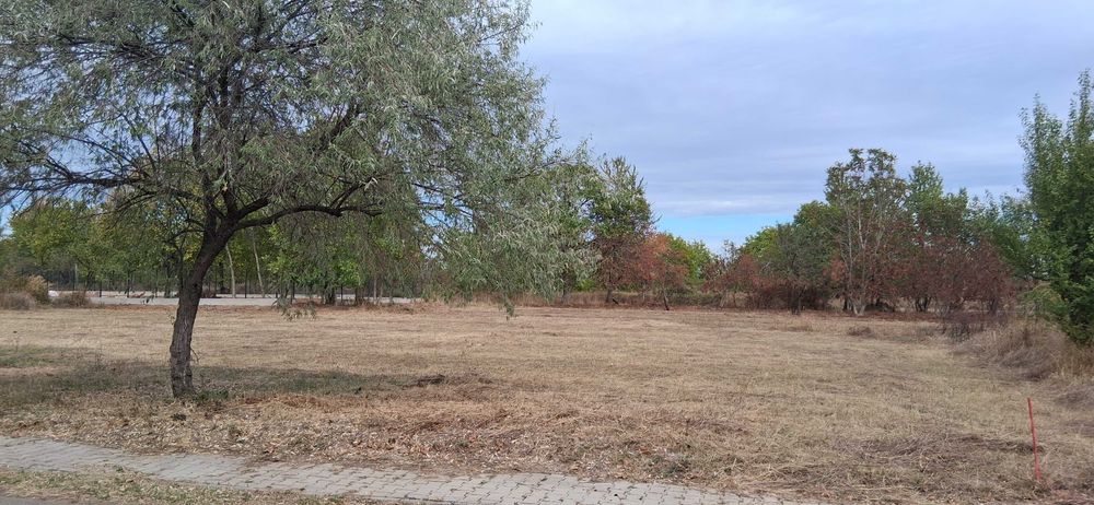 Teren intravilan 836 mp , deschidere 24 ml , zona linistita