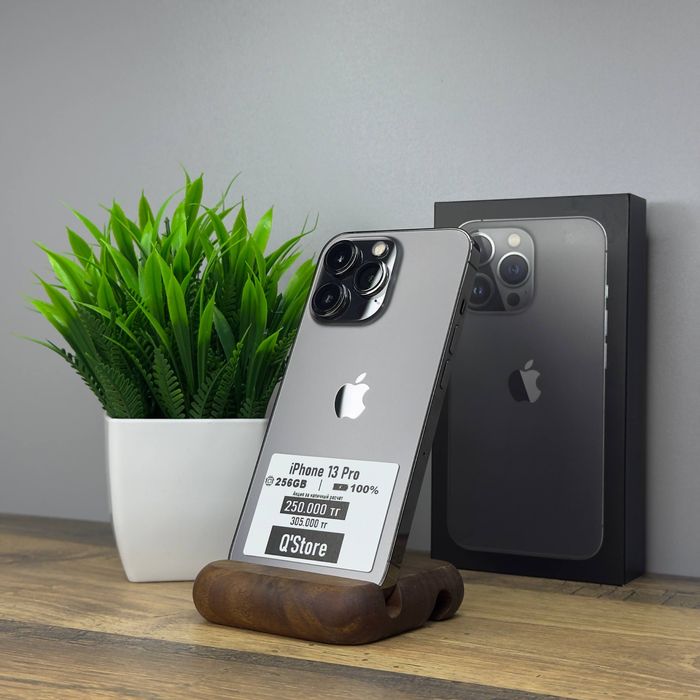 Iphone 13 Pro / 256GB / 100% / Q’Store