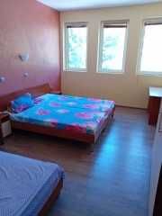 Стаи под наем - целогодишен прием от 20лв.