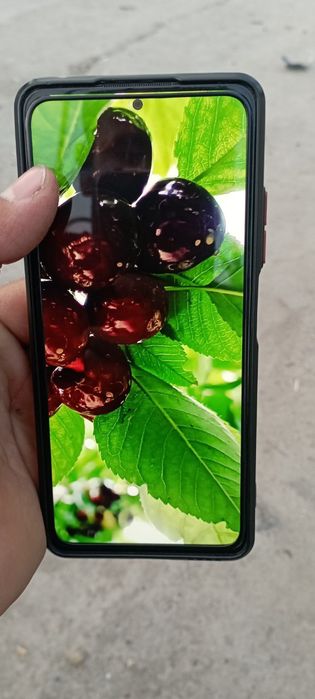 Redmi note 11 pro