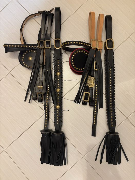 Hamuri cai. Capastru cal