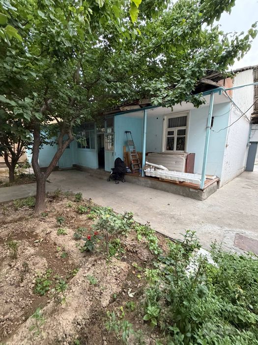 Ховли жой сотлади