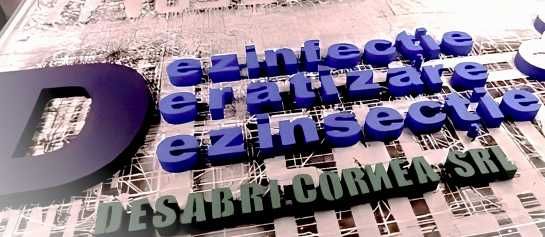 Dezinsectie plosnite de pat Timisoara