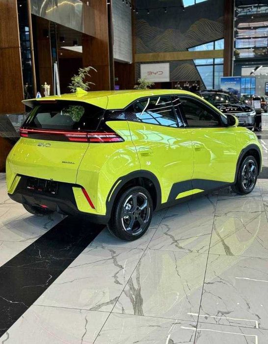 Byd Seagull naxt va halol nasyaga beriladi