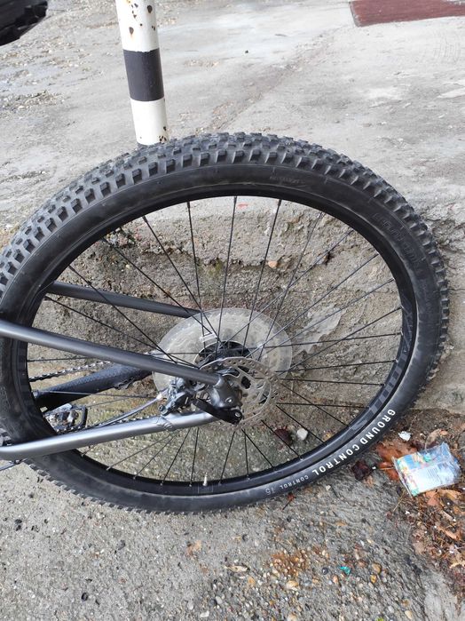 Specialized Rockhopper 29