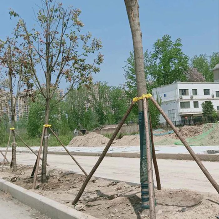 Опора для дерева с хомутом