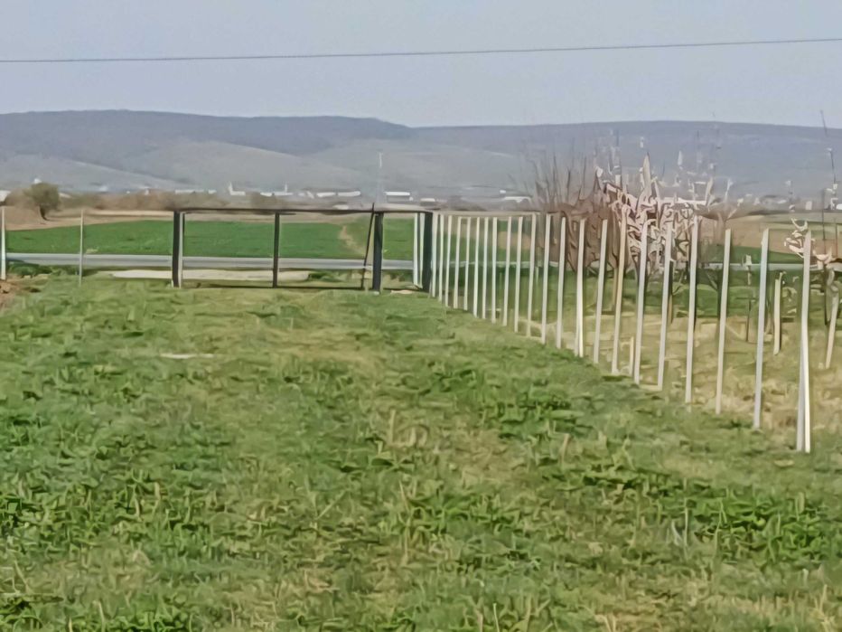 Teren inconjurat de inchiriat Poplca - Orlat - Gura Raului Sibiu - DJ 106D