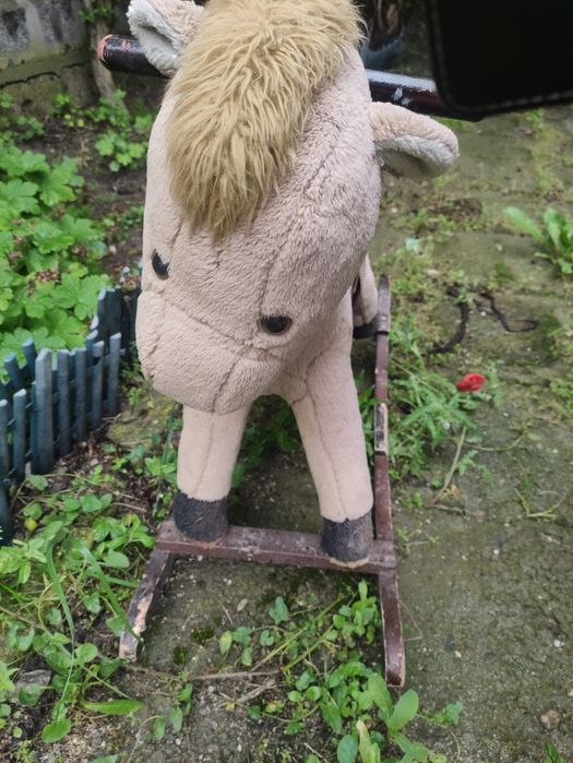 Люлеещо се конче