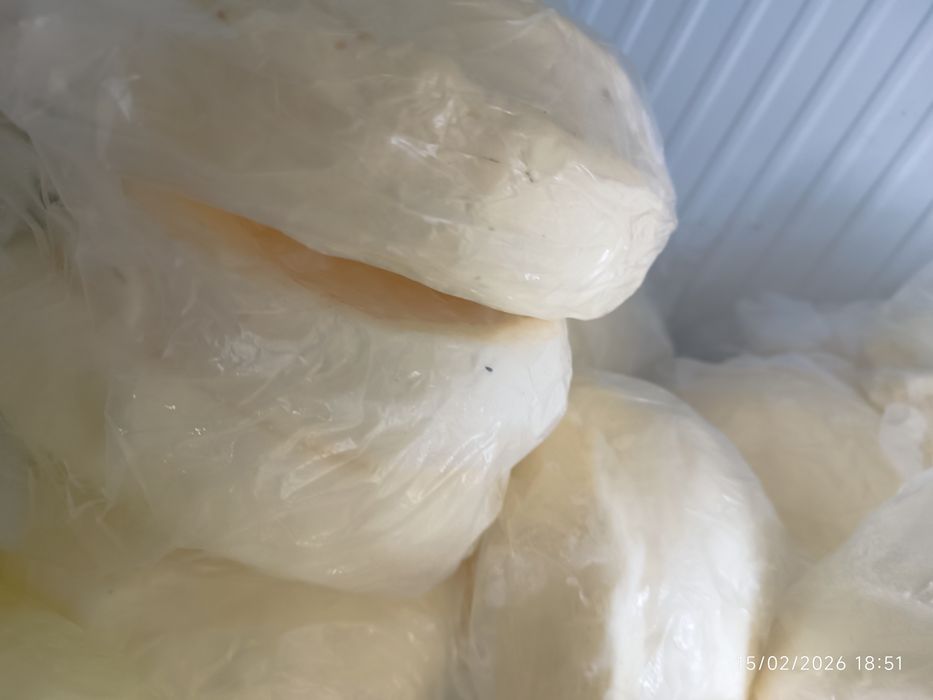 Tabiy saryogʻ jaydari