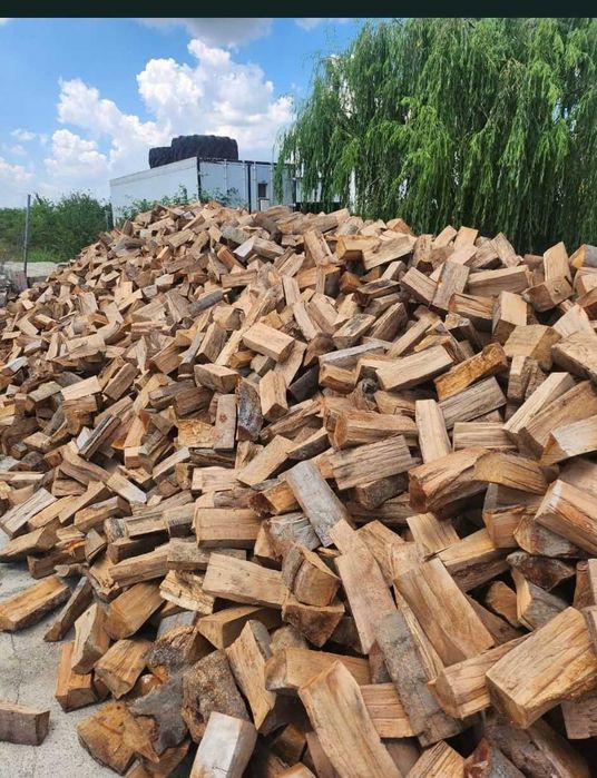 Lemne uscate de fag, ideale pentru încălzire!