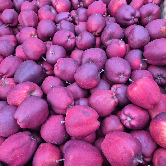 Mere idared red cif golden prince renet ranet