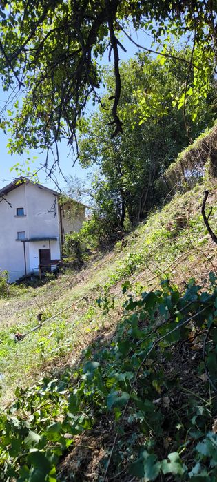 Косене Враца евтини цени.