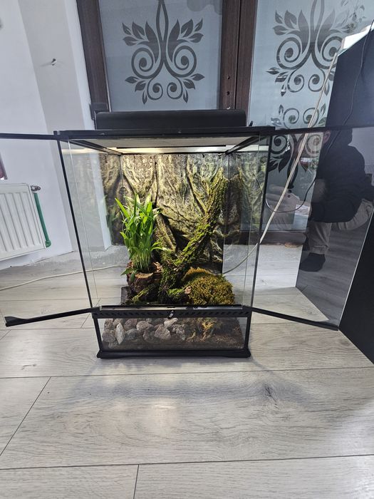 Terarii diferite dimensiuni