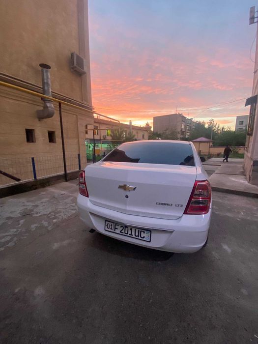 Other Cobalt 2023 — 10