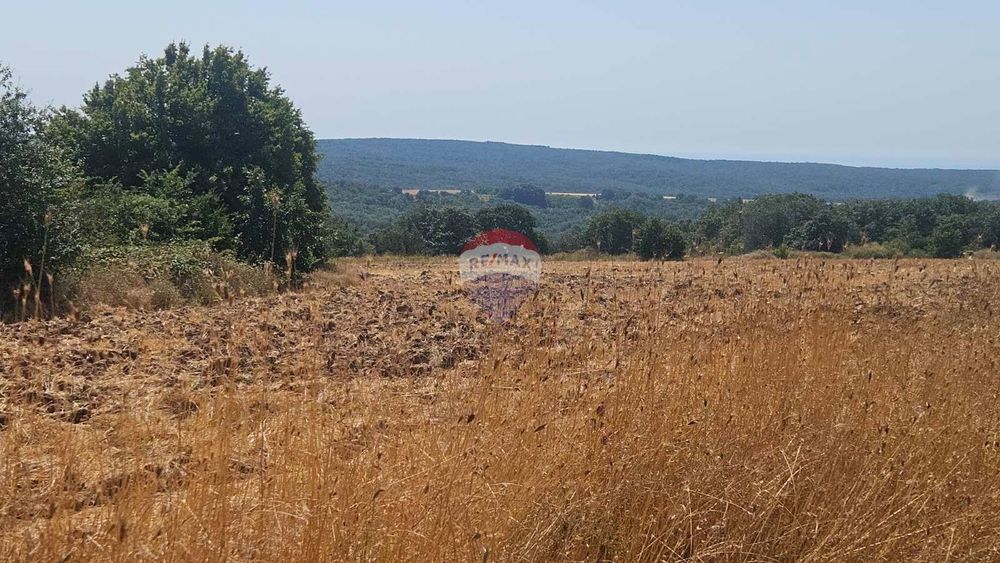 Продава се Парцел в с. Близнаци, Област Варна - 6900 кв.м за 44 €/кв.м - Снимка #6