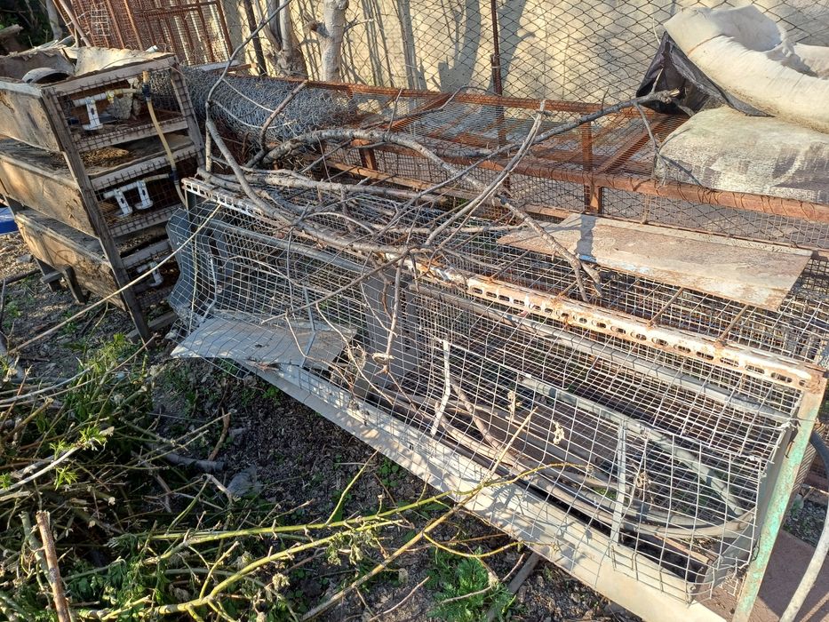 Клетки не дорого