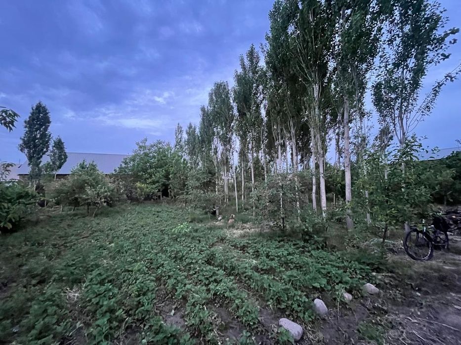 Срочно продаётся дом, участок