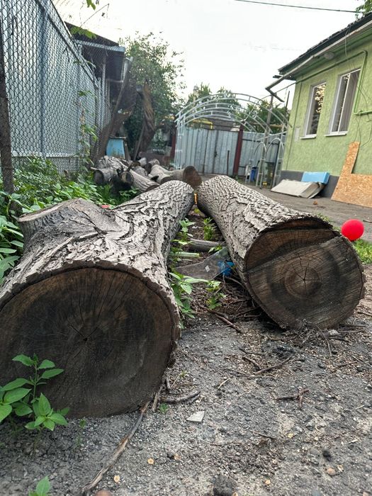 Спиленный орех на продажу