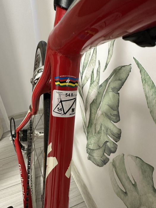 Vând Cursieră Specialized Roubaix (Cadru Full Carbon, Echipare Shimano Ultegra)