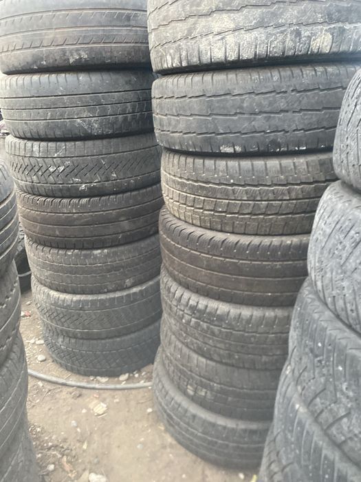 Шиналар бар сешка