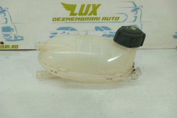 Vas antigel 217102572r Renault Captur 2 (2019 - 2020)