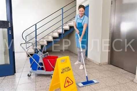 Почистване на входове