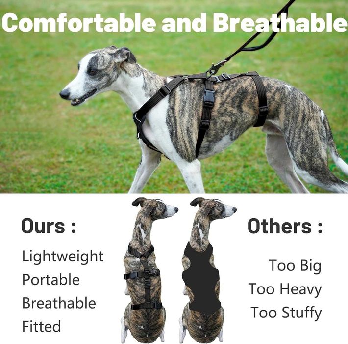 Paworld Escape регулируем нагръдник за кучета (розово, зелено, черно)