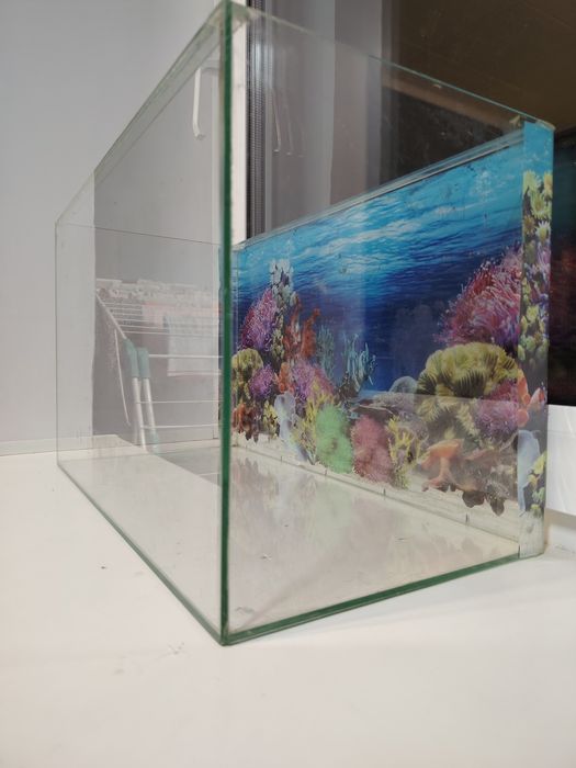 Продам аквариум со всем необходимым