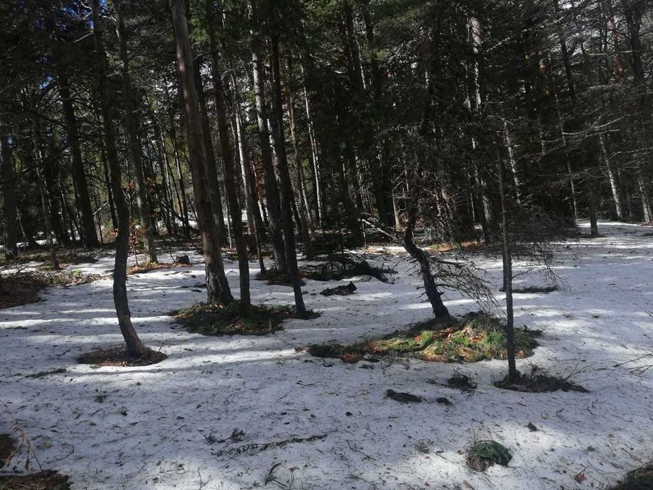Парцел хижа Здравец до хижа Металик 100метра лице