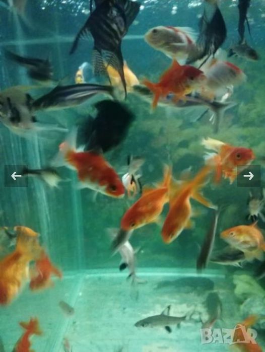 Продавам нови аквариуми и асесоари