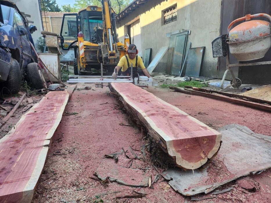 Разбичване на трупи на място