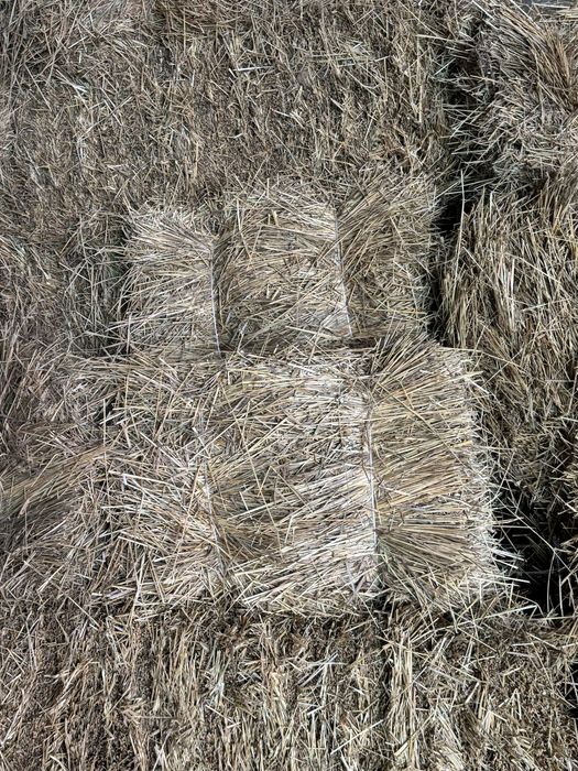 продаетя сено в ткюках