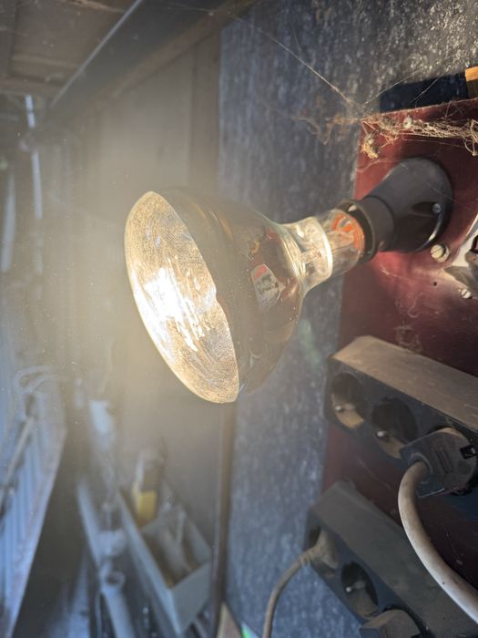 Нагряващи лампи 6 броя