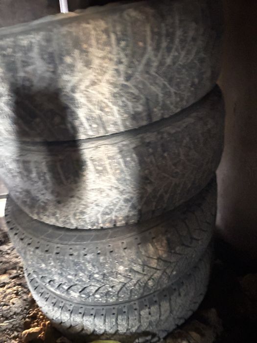 Шины Triangle 195/65 R15