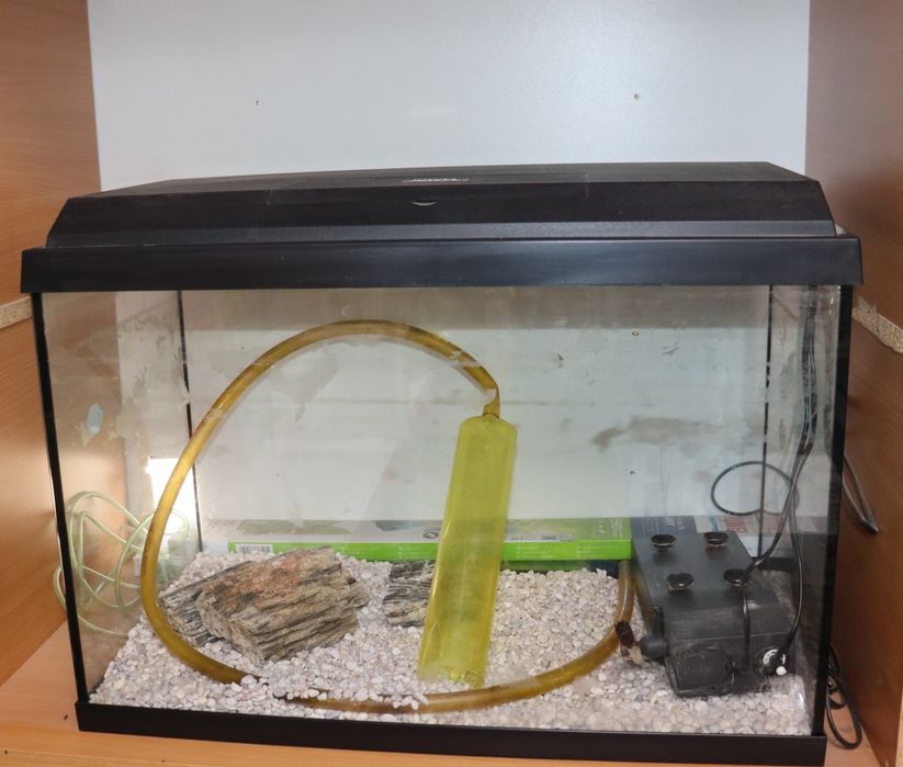 Kit Acvariu Primo 60 LED - pompa apa, substrat si decor incluse