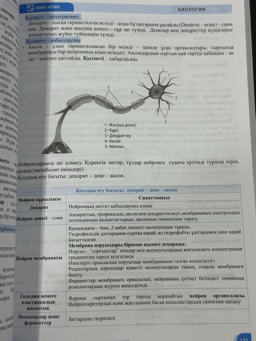 Книги для подготовки ЕНТ