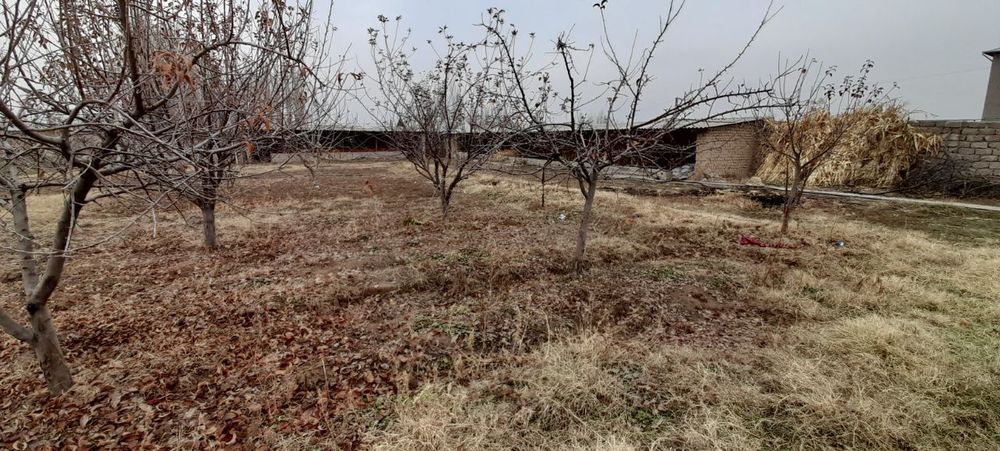 Dala hovli Ferma (45 sotix) Oldida Suv Oqib otgan