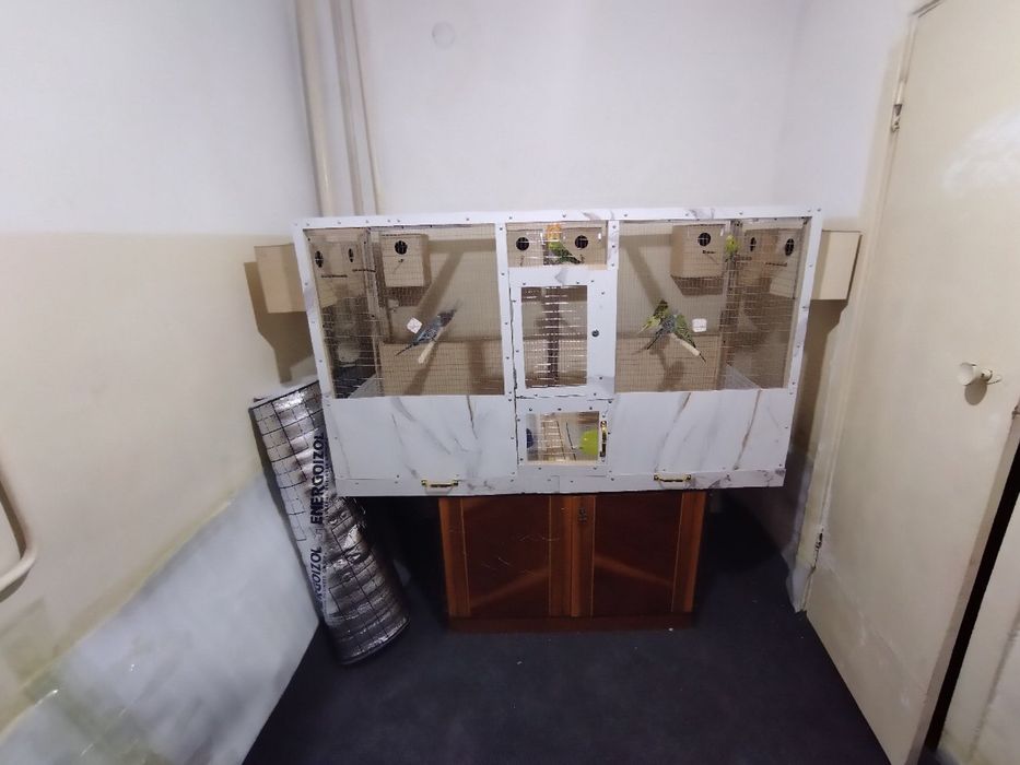 Qafas va totila sotladi!