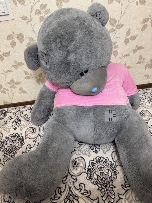 Teddy сотилади срочно