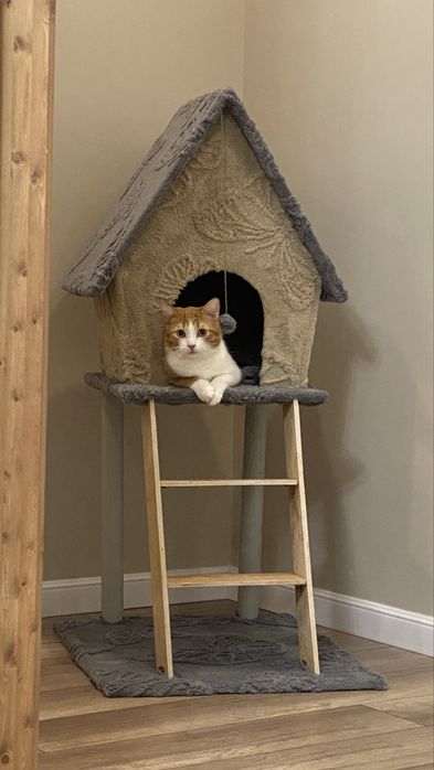 Домик для кота …..