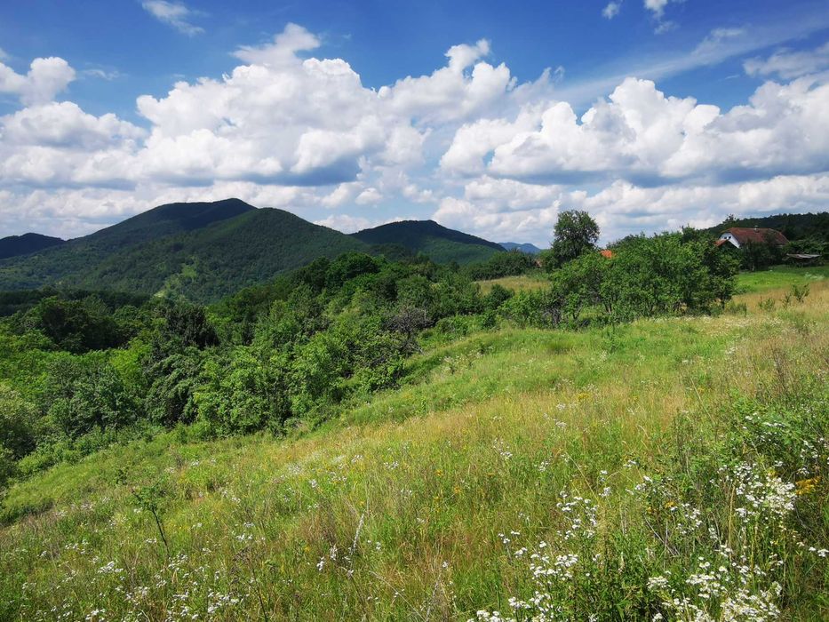 Proprietate de vânzare în sat Barbura, județul Hunedoara – 42.500 mp