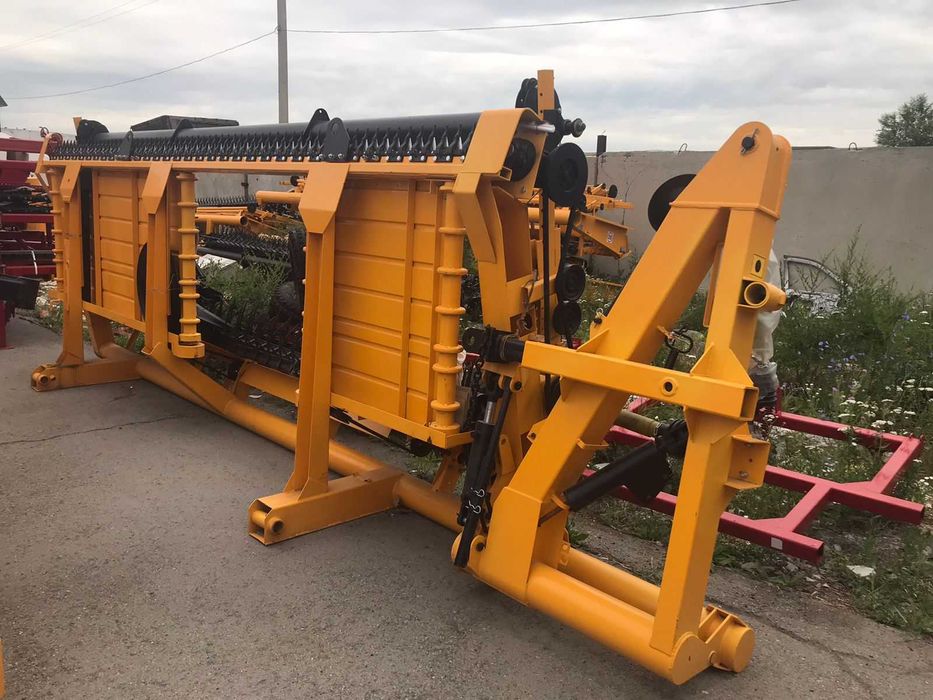 Қыздар арасындағы жыныстық қатынас