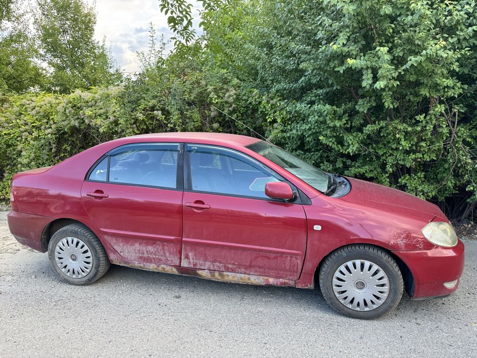 Toyota corolla