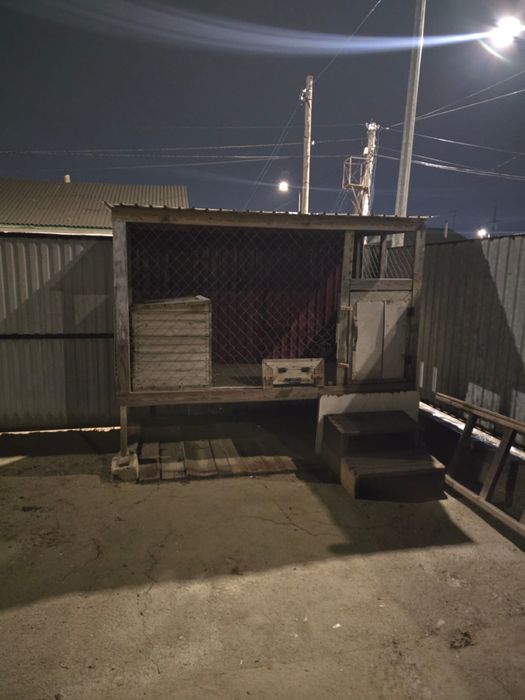 Собачьее вольера