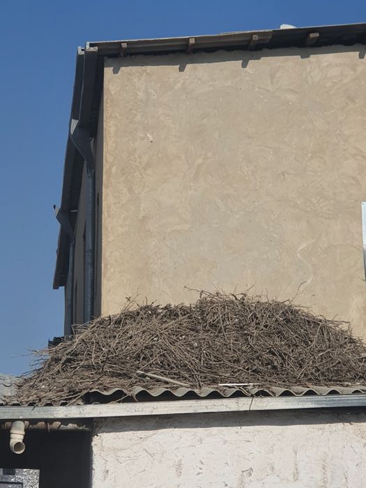 Taxta hezum pumbachòp owxona mebelli eshik sotiladi